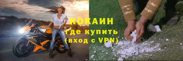 шишки Богданович