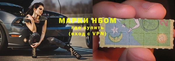 шишки Богданович